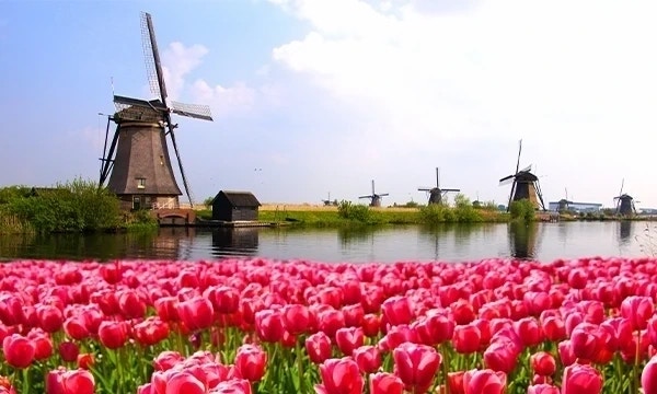 HCL (Netherlands) BV