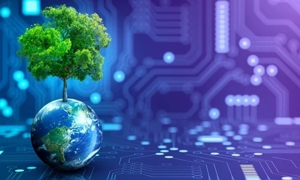 Whitepapers and reports