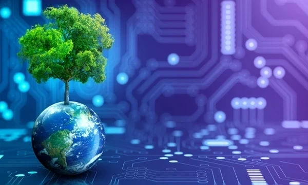 Whitepapers and reports Whitepapers and reports