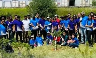 Supercharging the environment with One Tree Planted