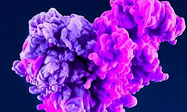 Cloud Evolution: Make innovation a habit Cloud Evolution: Make innovation a habit