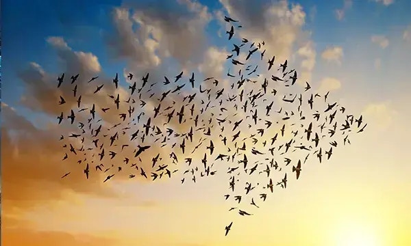 SwiftX for Polarion​