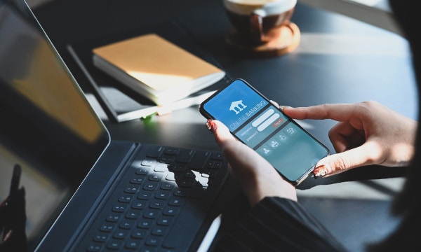 Banking, Financial Services and Insurance (BFSI)