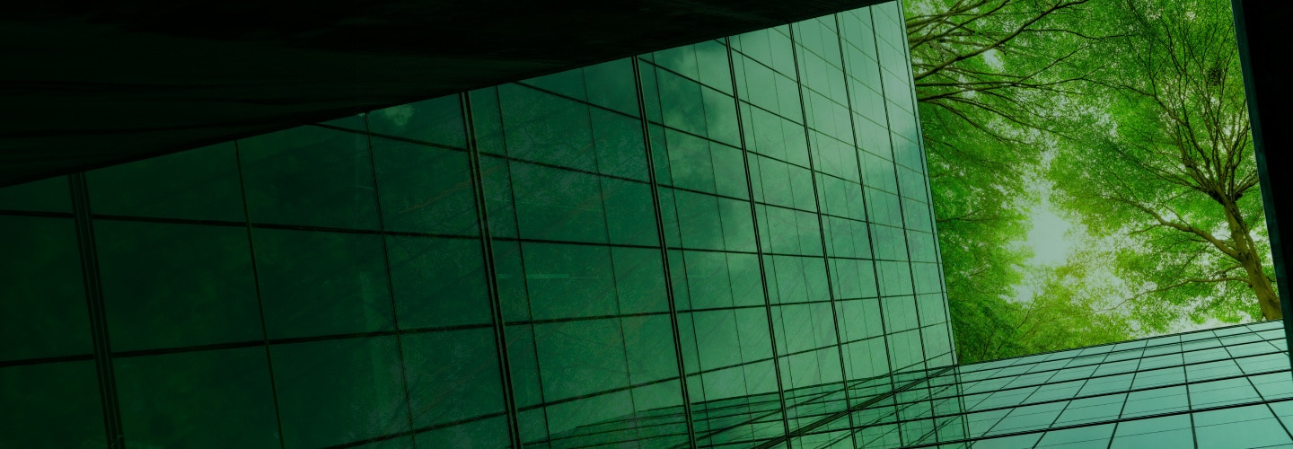 Sustainability Solutions for SAP