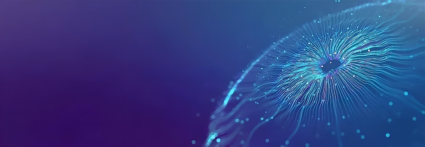 Informatica Partnership