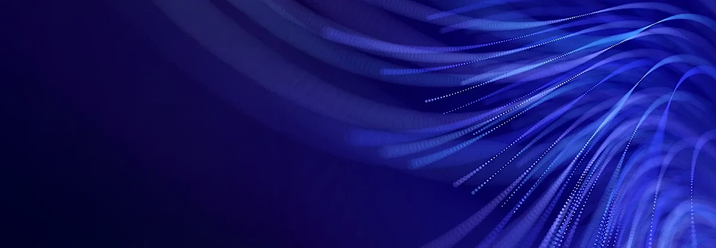 Professional Services