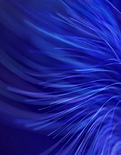 Professional Services Professional Services