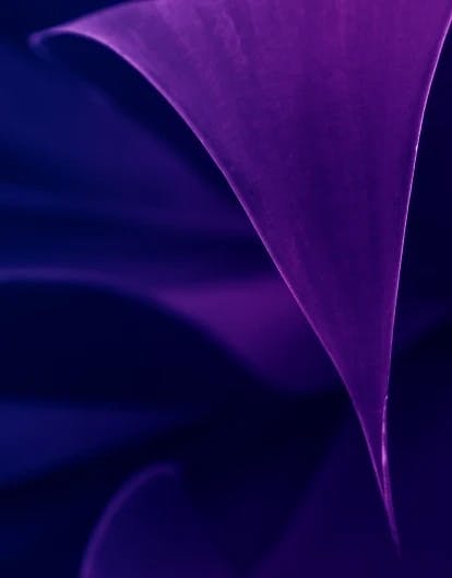 Post Trade Post Trade