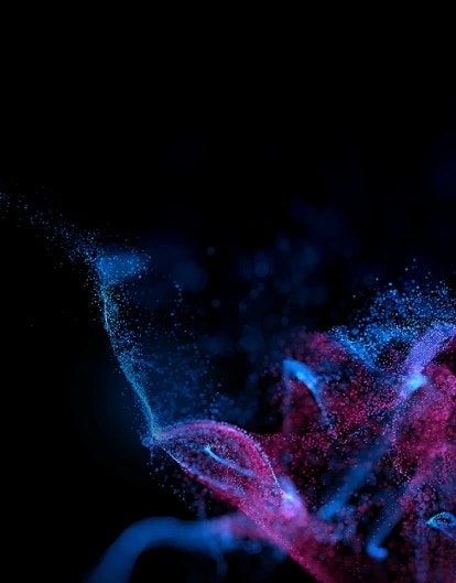 Data-led Strategies for Smarter Insurance Decisions