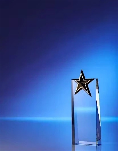Intel Partner Award 2024 Intel Partner Award 2024