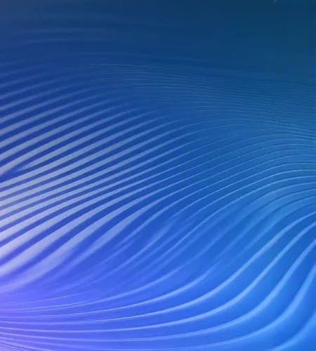 total-experience total-experience