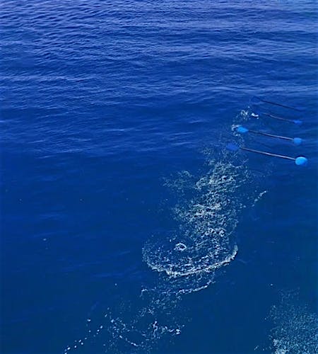 We are at Blue Yonder ICON 2025