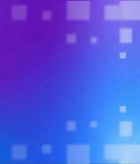 Highlights Highlights