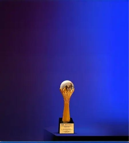 Awards 2025 Awards 2025