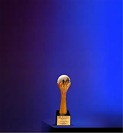 Awards 2025 Awards 2025