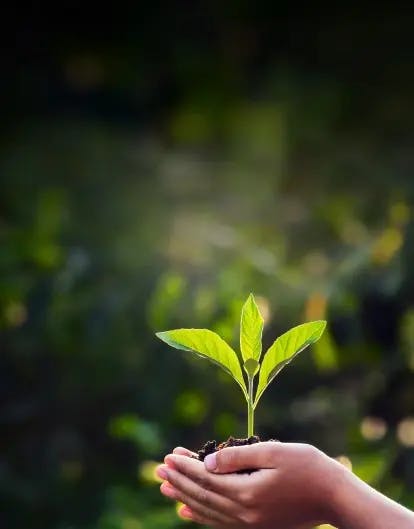 Climate Risk Assessment Solution