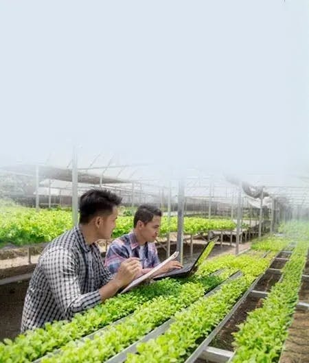 Cloud-Native Analytics Revolution Cloud-Native Analytics Revolution