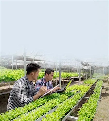 Cloud-Native Analytics Revolution