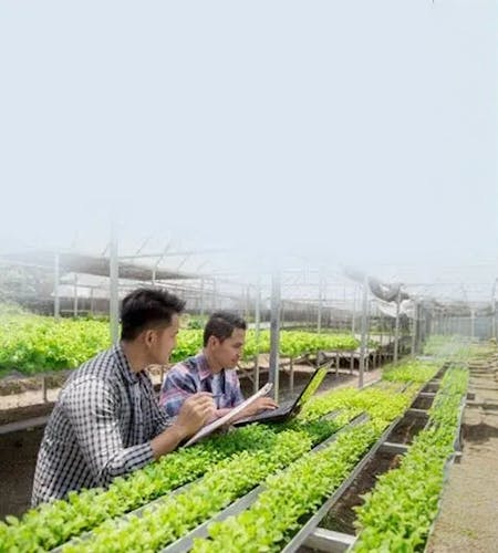 Cloud-Native Analytics Revolution Cloud-Native Analytics Revolution