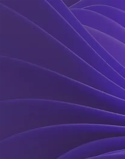 Partner with the best to optimize your platform Partner with the best to optimize your platform