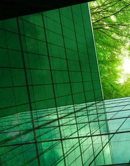 Unlocking business value with Sustainability