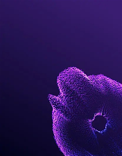 CX-Forum