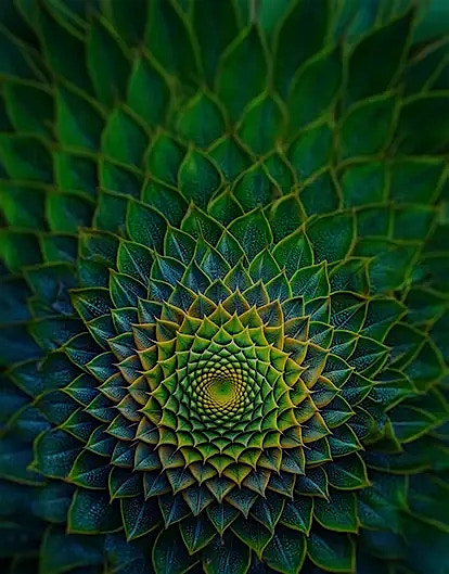 Sustainability