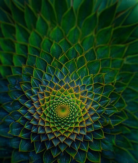 Sustainability Report Sustainability Report