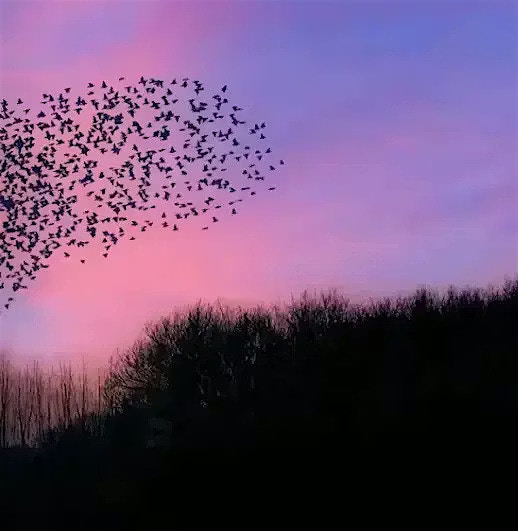 Strategische Allianzen