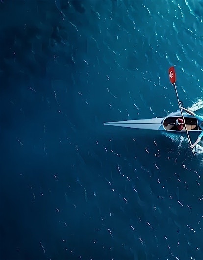 CX Star Performer in ISG Star of Excellence™