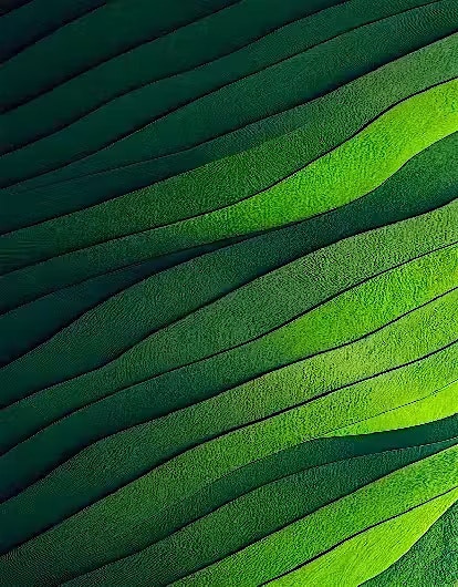 Sustainability Sustainability