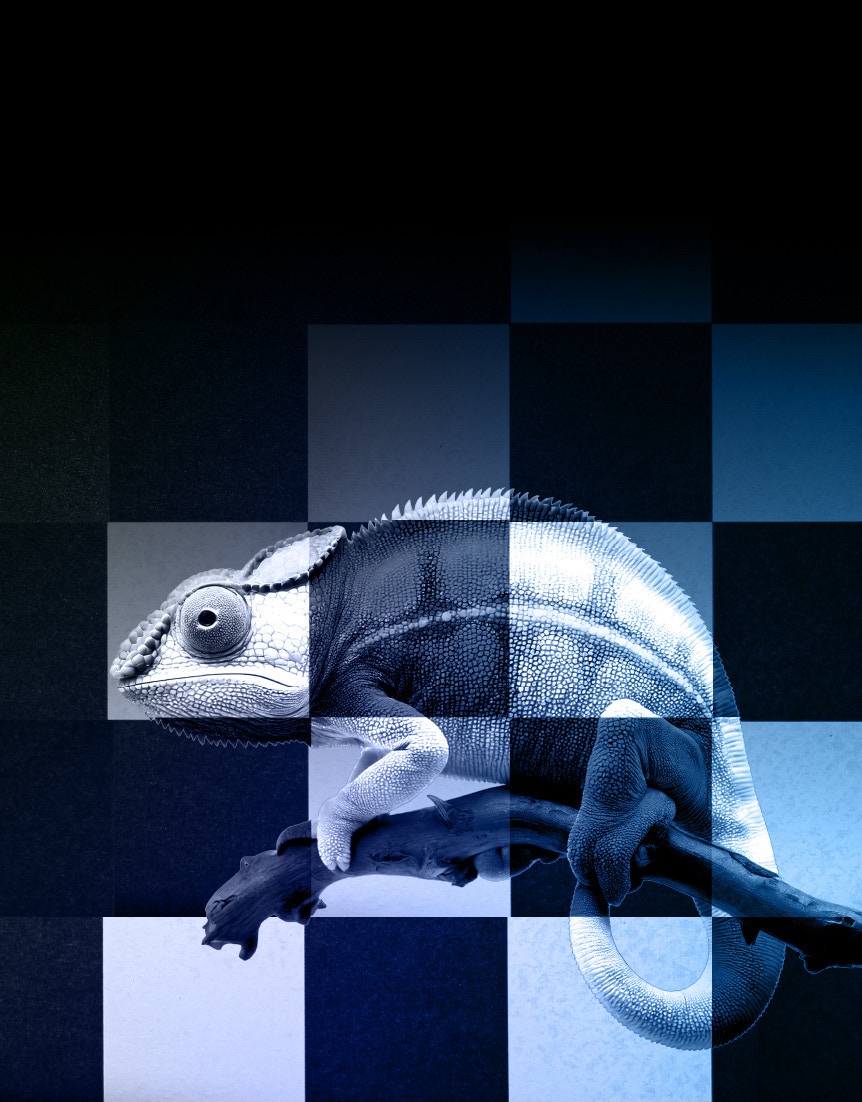 Break It Before It Breaks You