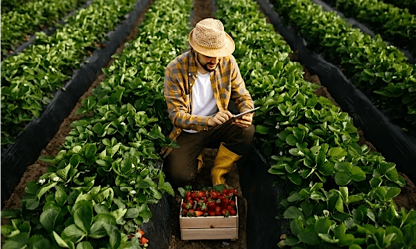 Tackling the top 10 procurement challenges for CPG companies today