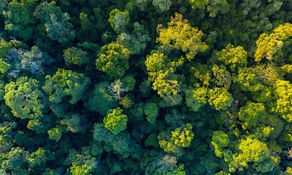 The digital leap: Transforming sustainability in process operations