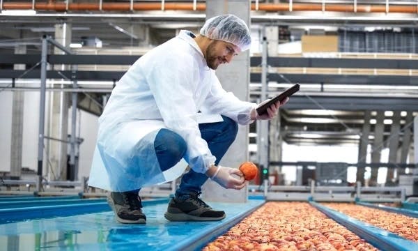 Cleaning-in-place processes in the food and beverage industry