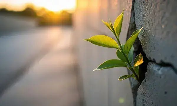 Earth Overshoot Day: A wake-up call for business responsibility and climate action