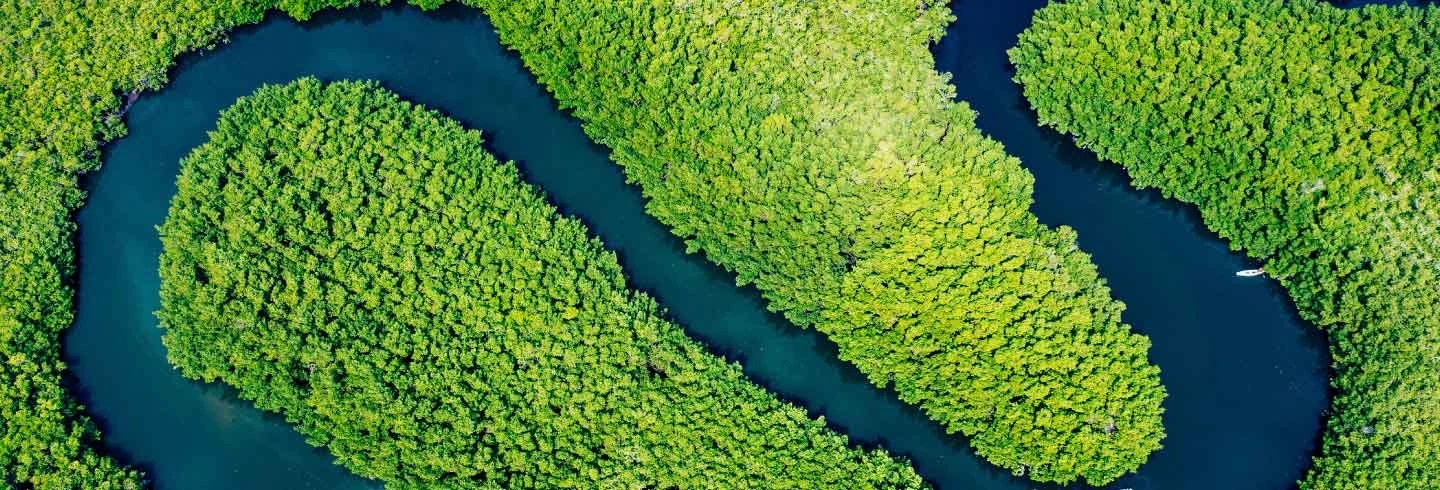 Empowering nature’s guardians – The Habitats Trust