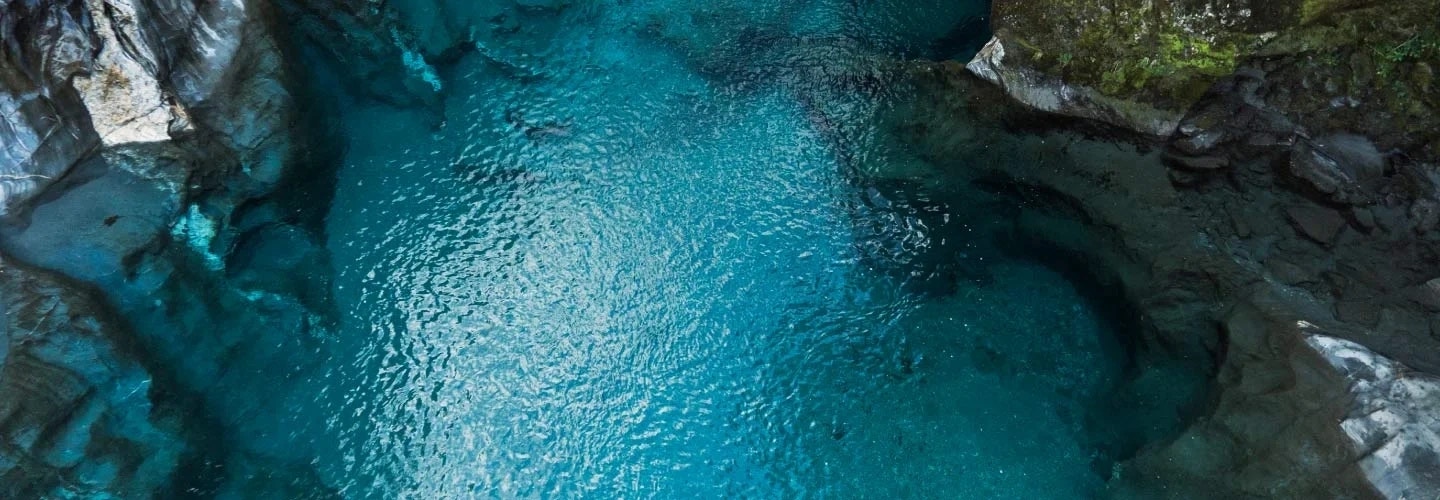 Leading IT company advances its sustainability efforts with the help of HCLTech Leading IT company advances its sustainability efforts with the help of HCLTech