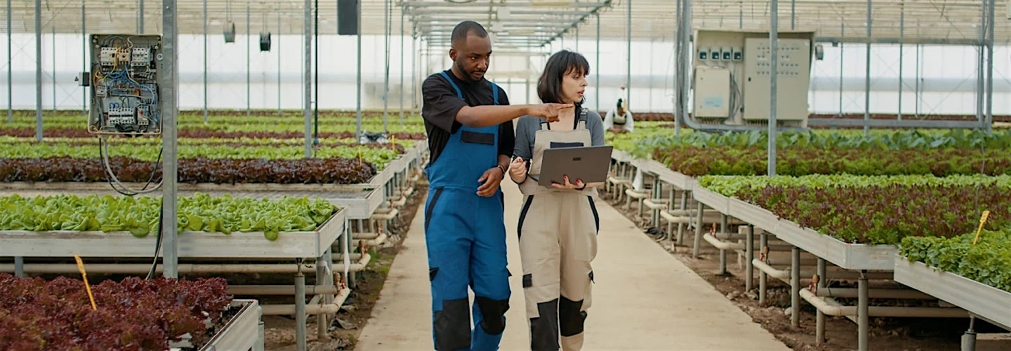 Implementing o9 Solutions to transform operations and enhance decision-making Implementing o9 Solutions to transform operations and enhance decision-making