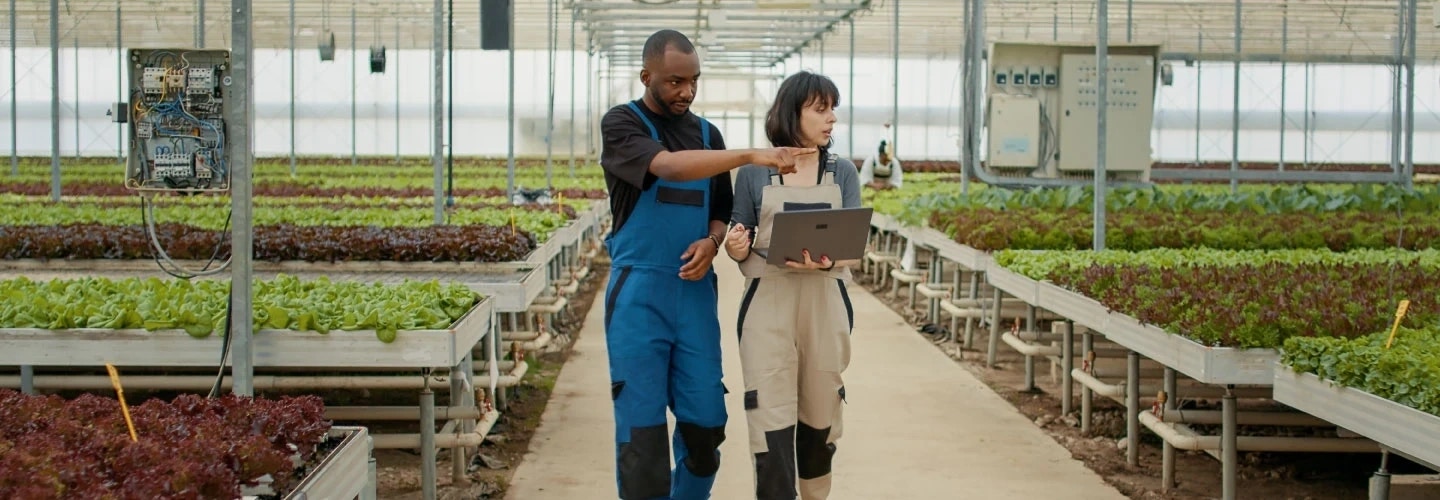 Implementing o9 Solutions to transform operations and enhance decision-making