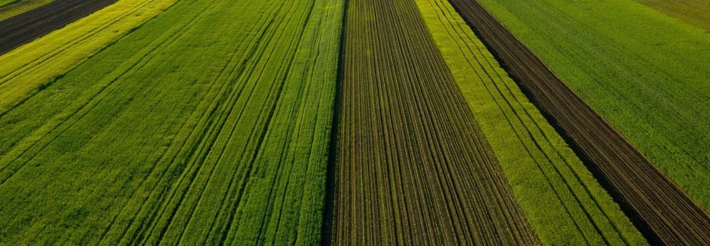 A global fertilizer company simplifies licensing to minimize expenses A global fertilizer company simplifies licensing to minimize expenses