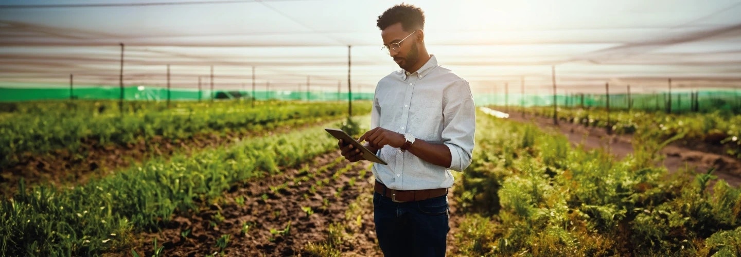 Elevating sustainability impact to new heights by creating a greener future