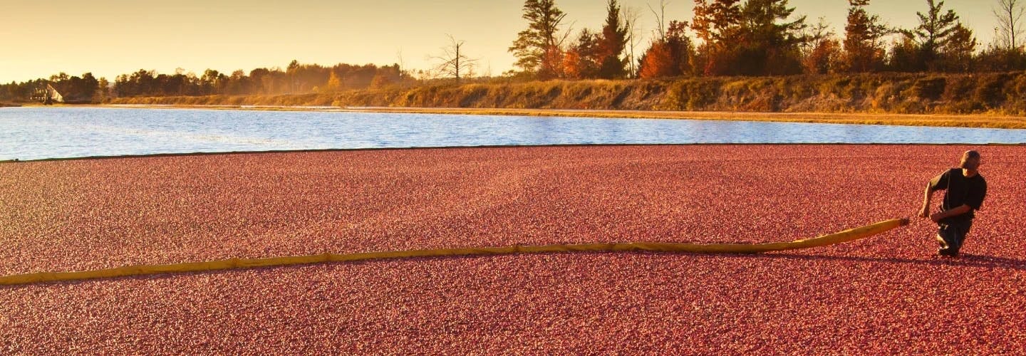 Supercharging efficiency and product analytics for a leading agricultural co-op  Supercharging efficiency and product analytics for a leading agricultural co-op