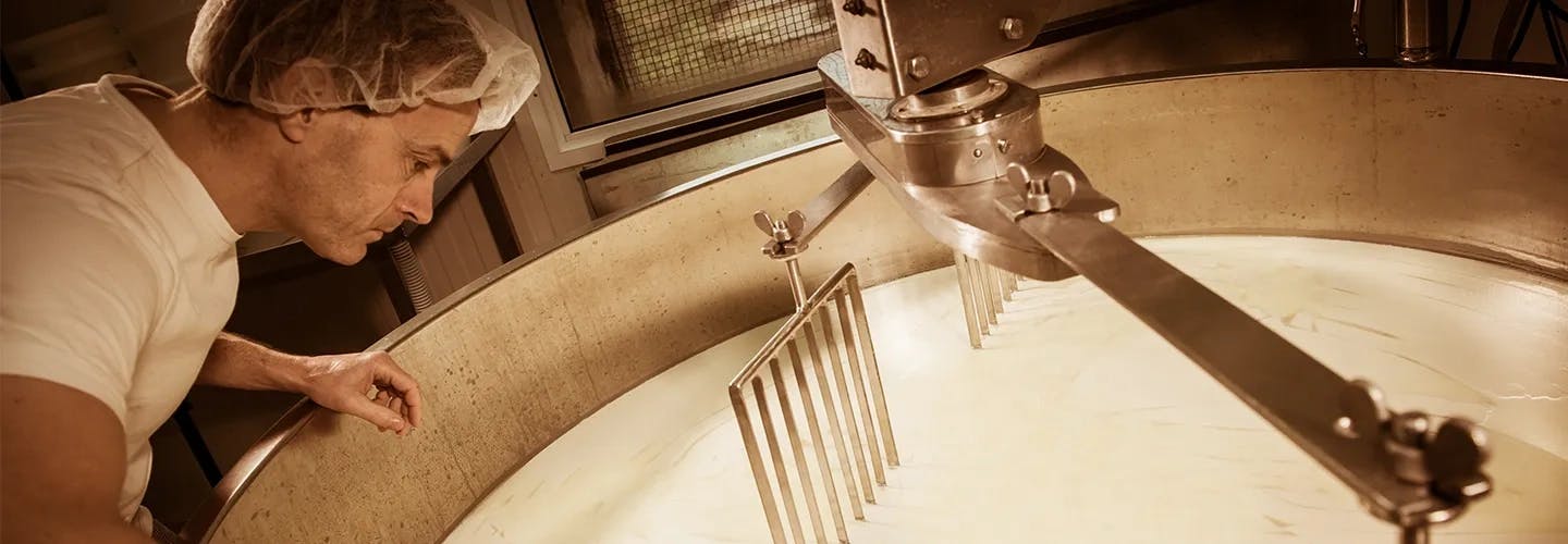 Accelerated digital transformation for a leading cheese producer Accelerated digital transformation for a leading cheese producer