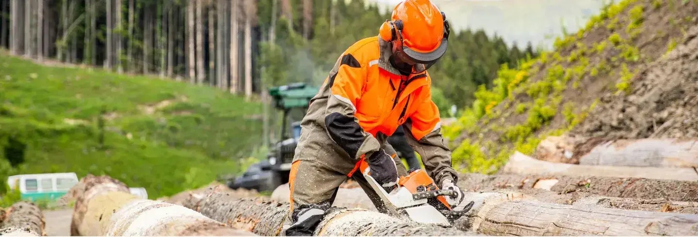 Fortune 500 manufacturer's cloud optimization partnership with HCLTech and Intel