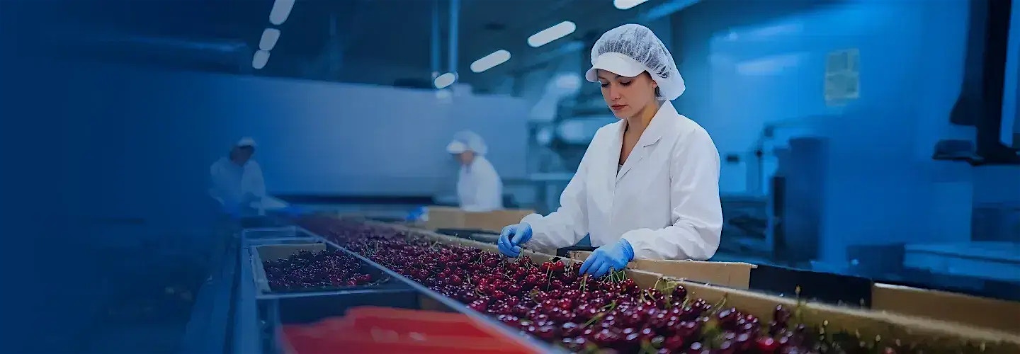 Reimagining food safety compliance for a leading U.S. grocery chain