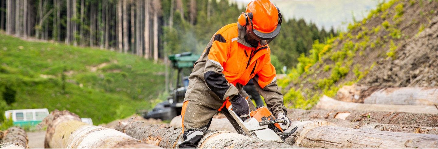 Fortune 500 manufacturer's cloud optimization partnership with HCLTech and Intel