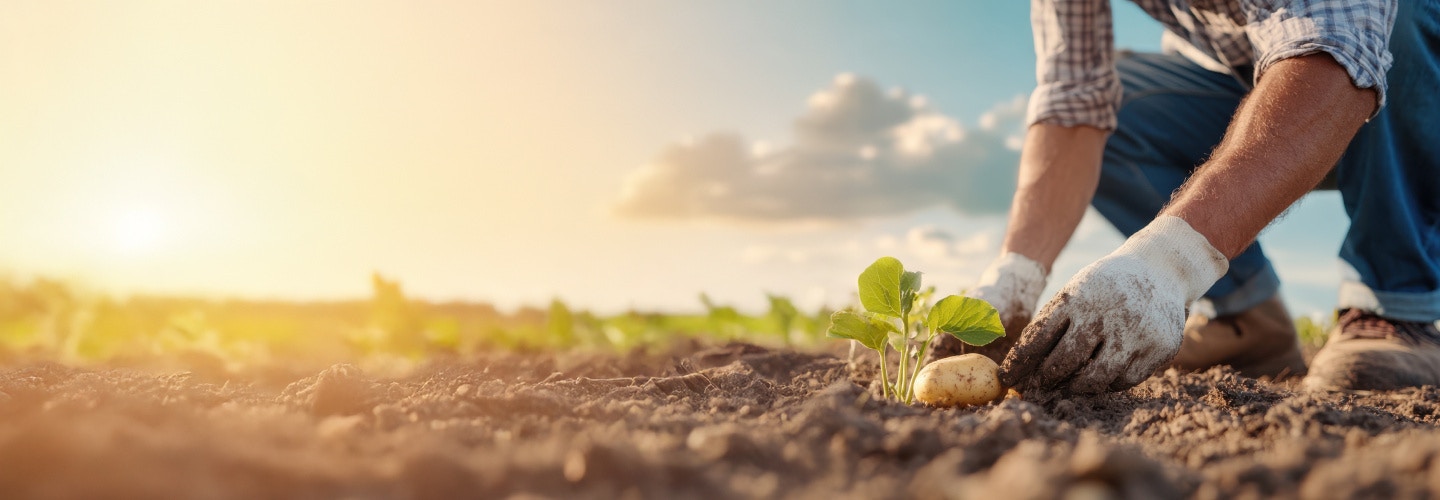 Leading global food and beverage corporation enhances IT efficiency with HCLTech’s hyperautomation Leading global food and beverage corporation enhances IT efficiency with HCLTech’s hyperautomation