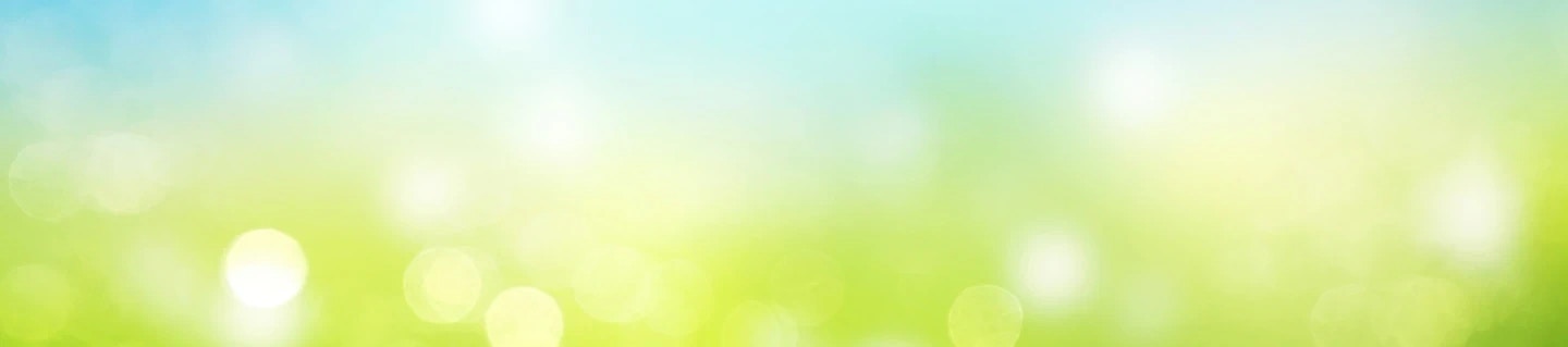 Operational optimization Operational optimization