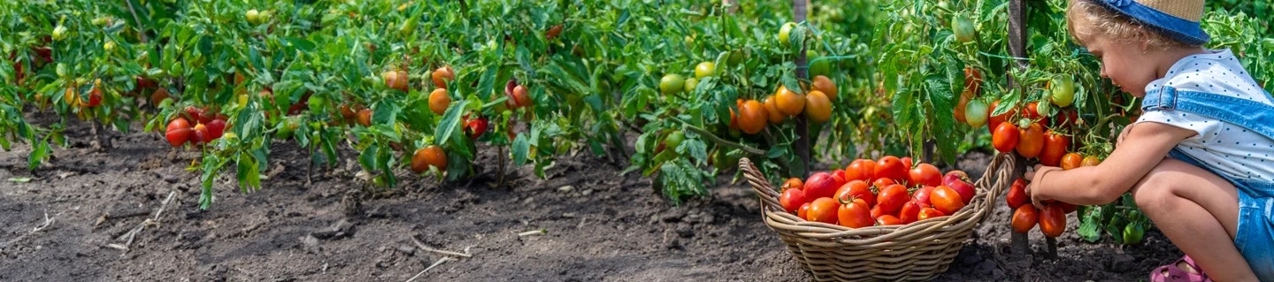 Accelerating customer engagement with automation Accelerating customer engagement with automation